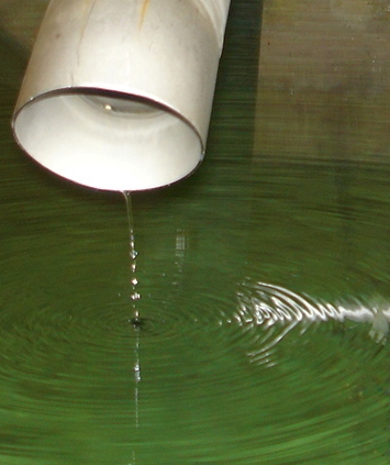 Wasser